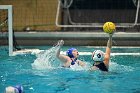 WWPolo vs CC  Wheaton College Women’s Water Polo compete in their sports inaugural match vs Connecticut College. - Photo By: KEITH NORDSTROM : Wheaton, water polo, inaugural